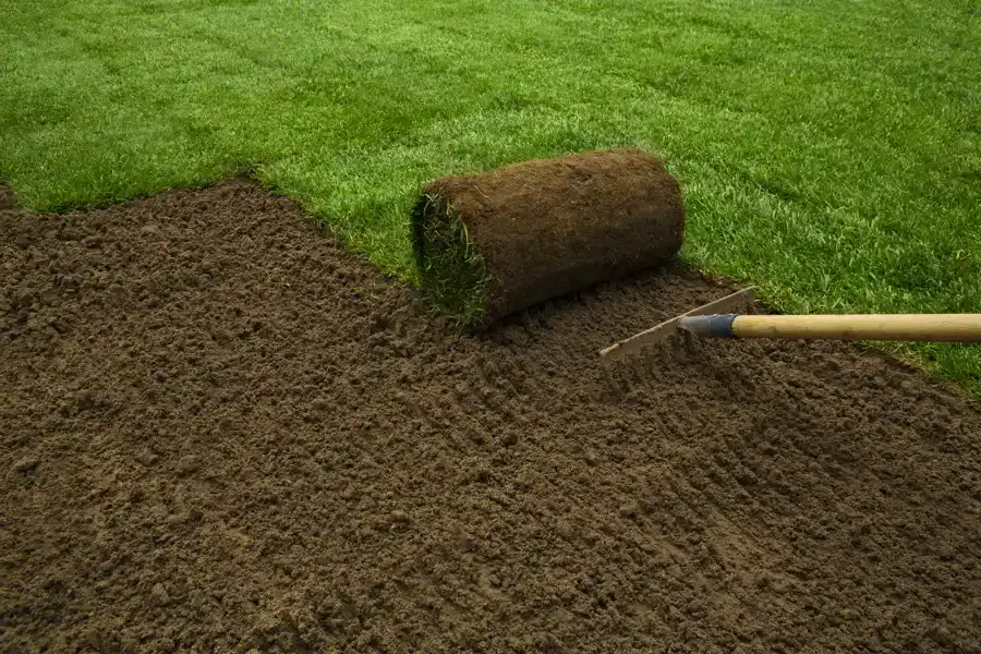 Turf Installation